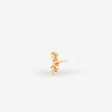 Piercing Gaston - Champagne