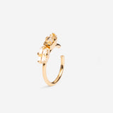 Bague d'oreille Denis - Champagne