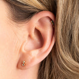 Petites puces d'oreilles brillantes April Please