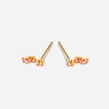 paire de puces d'oreilles champagne et rose, plaqué or
