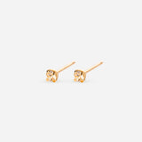 Boucles Paul - Champagne